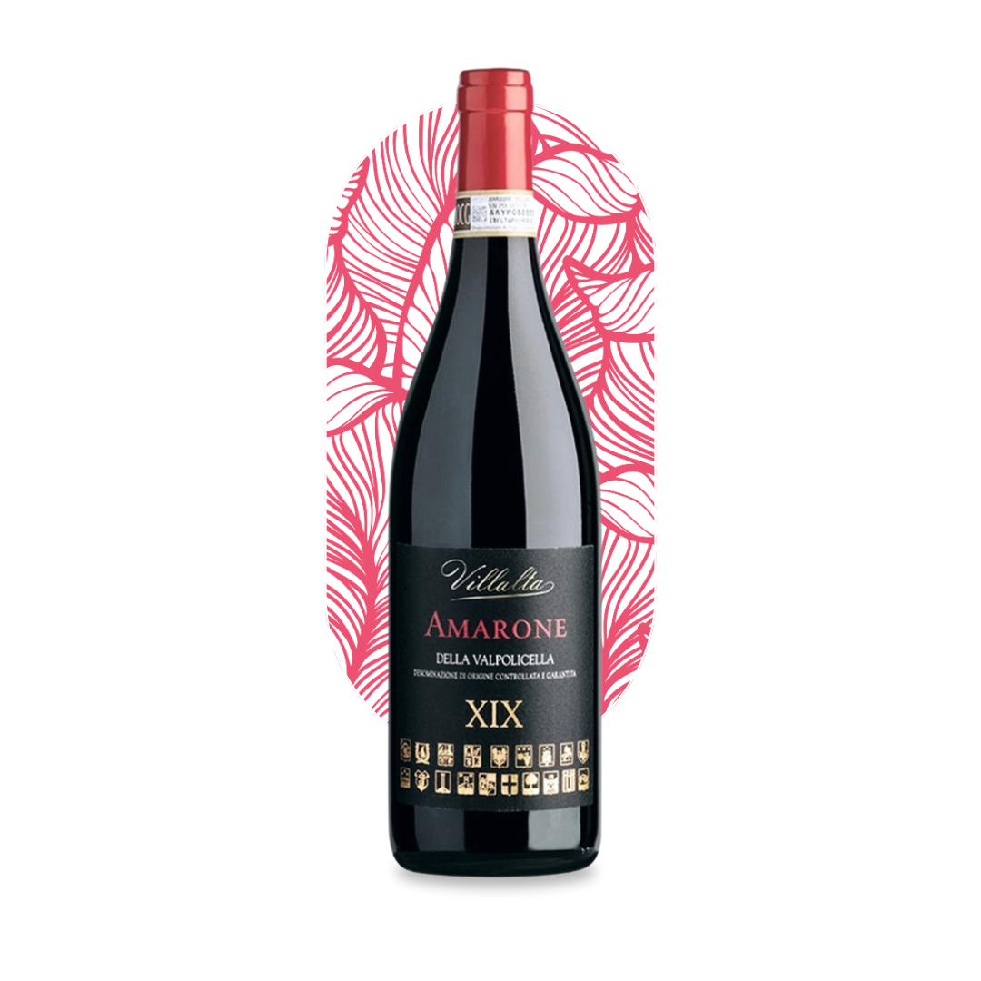 VILLALTA XIX Amarone della Valpolicella